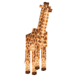 Жираф