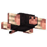 Крот